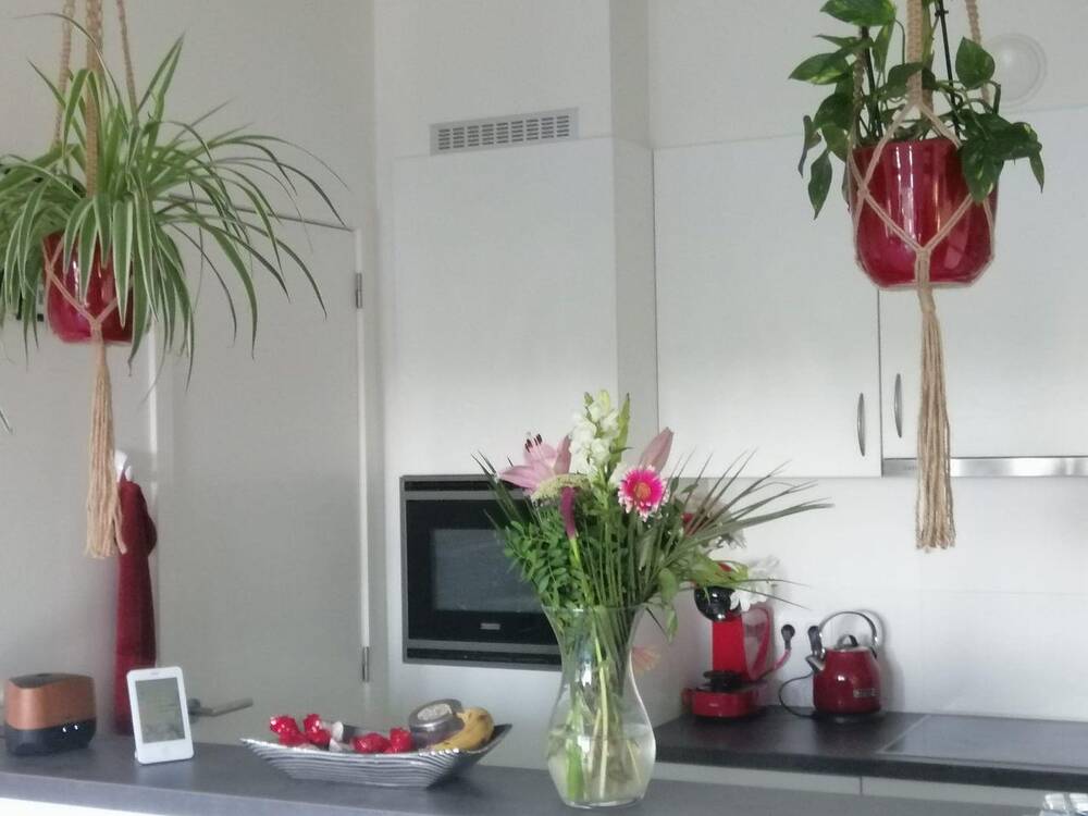 Appartement te  huur in Harelbeke 8530 795.00€ 2 slaapkamers 0.00m² - Zoekertje 273005